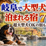 岐阜で大型犬と泊まれる宿7選！超大型犬OKの宿も紹介